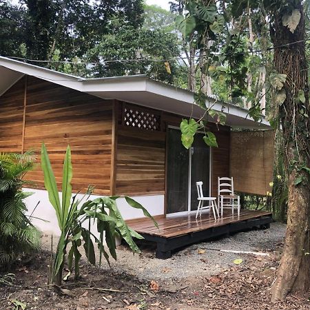 Ita Tiny House Disfruta&Trabaja en el Caribe! Apartamento Puerto Viejo de Talamanca Exterior foto