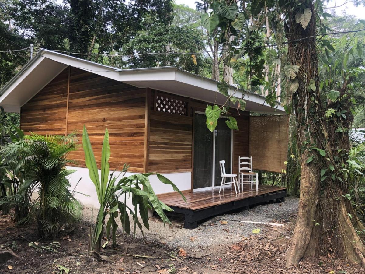 Ita Tiny House Disfruta&Trabaja en el Caribe! Apartamento Puerto Viejo de Talamanca Exterior foto